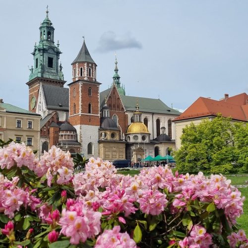 Wawel dziedziniec kwiaty